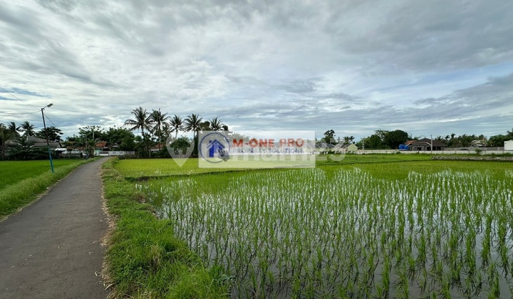 Dijual Tanah 3190 Mtr Pinggir Jalan Di Rajeg, Tangerang Dijual Tanah 3190 Mtr Pinggir Jalan Di Rajeg, Tangerang