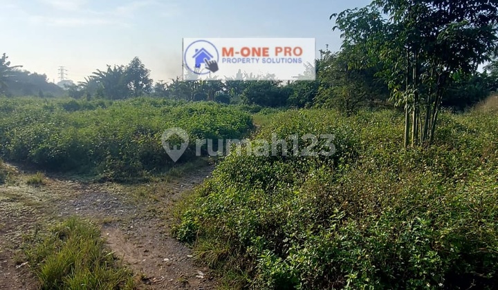 Dijual Tanah Zona Kuning 7 Ha Pinggir Jalan di Legok Dijual Tanah Zona Kuning 7 Ha Pinggir Jalan di Legok