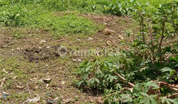 Dijual Murah Tanah Industri Pinggir Jalan Shm Di Balaraja Dijual Murah Tanah Industri Pinggir Jalan Shm Di Balaraja