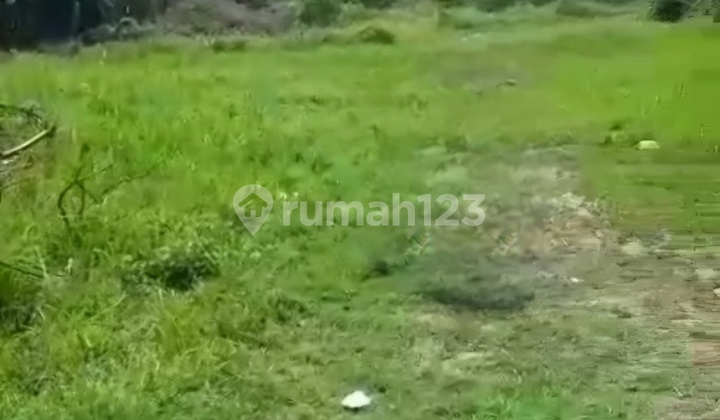 Dijual Tanah Industri 2 Ha Shm Pinggir Jalan di Tigaraksa Dijual Tanah Industri 2 Ha Shm Pinggir Jalan di Tigaraksa