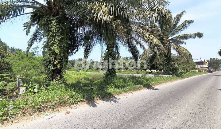 Tanah Murah SHM, Kontur Tanah Datar dengan Dimensi Luas dan Bagus. Lokasi Strategis dekat ke Kota Binjai berada di Kawasan Kecamatan Binjai Selatan. 2