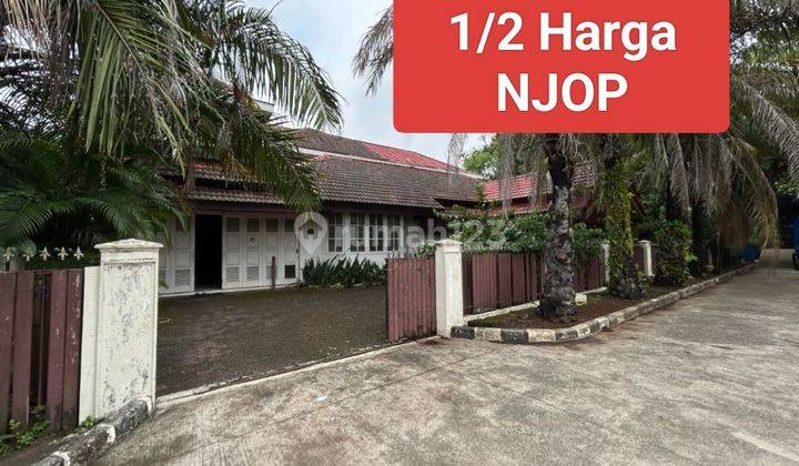 1/2 Harga Njop Rumah Hitung Tanah 1095 M²  1