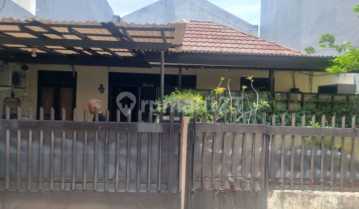 Turun Harga Rumah Dijual Jln Purwodadi Menteng Siap Huni/kos2an Turun Harga Rumah Dijual Jln Purwodadi Menteng Siap Huni/kos2an