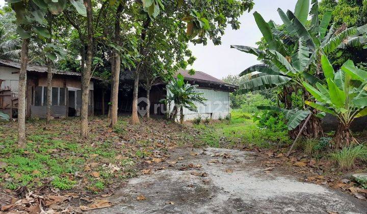 Tanah di Jalan Raya Tapos Cibinong Depok Bogor 30000 m² SHM       #ynntla 2