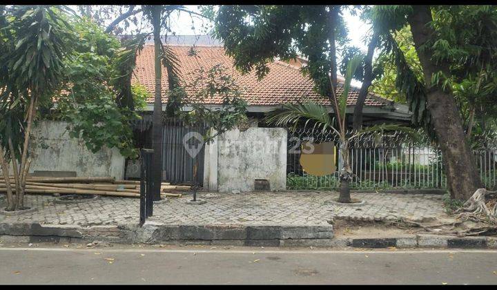 Rumah Tua Layak Huni Harga Dibawah NJOP  di Cempaka Putih Jakarta Pusat Hadap Barat Laut & Timur  1 Setengah Lantai  SHGB Luas 601 m²        #owen 1