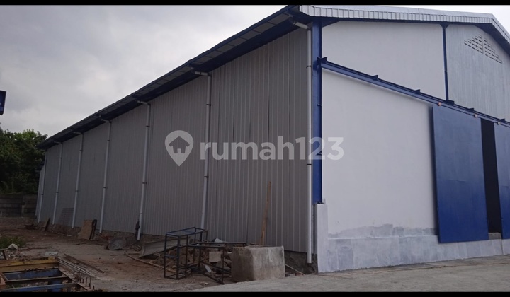 Brand New Warehouse, Ready to Use, Located in Pakuhaji Tangerang, Land Area 2000 M², Building Area 1200 M², 40 Feet Container Access, Road Width 12 Meters, SHM (Certificate of Ownership), Newly Completed September 2024 #freddyjimmylin