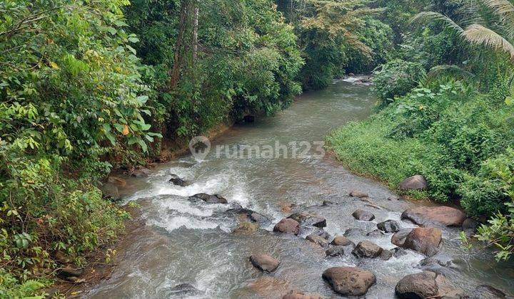 Tanah perkebunan di Sidanglaut luas 20283 m² SHM di Carita Banten 1