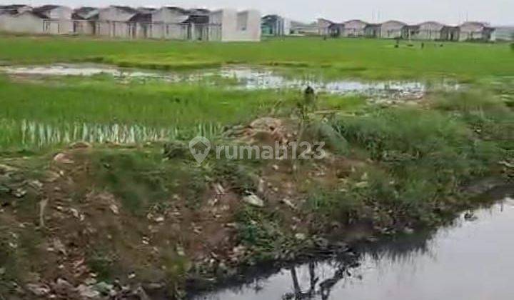 Tanah 1,5 HA SHM Di Sukamekar Sukawangi Kabupaten Bekasi 2