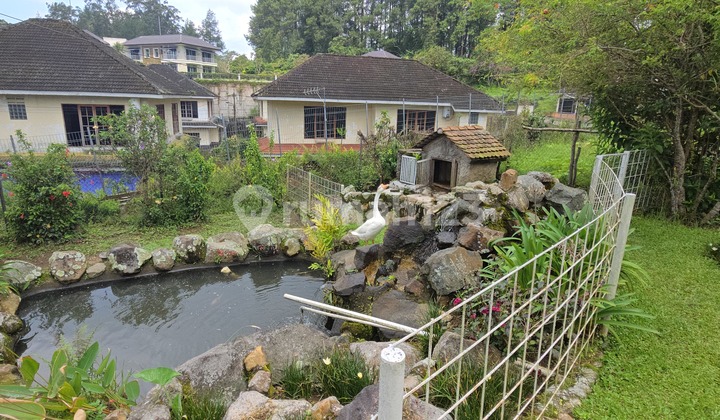 Di Jual Villa di Colibah Puncak Luas 4200M SHM