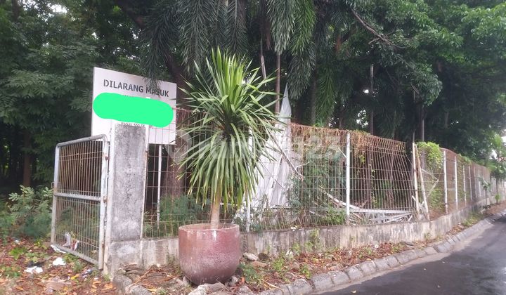 Di Bawah NJOP! Tanah SHM di Pegangsaan Kelapa Gading Jakut