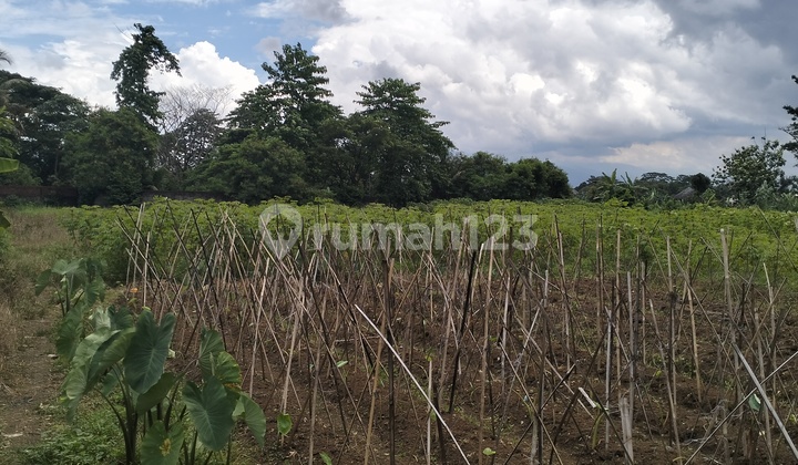 Dijual tanah dermaga kampus ipb