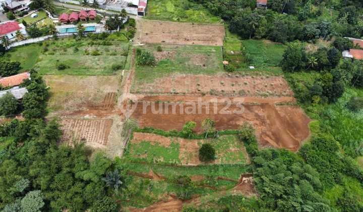 Tanah datar dan padat siap bangun di Palasari Cijeruk - Bogor Tanah datar dan padat siap bangun di Palasari Cijeruk - Bogor