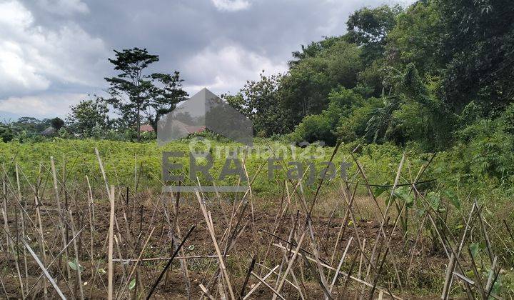  TANAH 6.216 M2 DI RAYA DRAMAGA BOGOR COCOK UNTUK PERUMAHAN 2