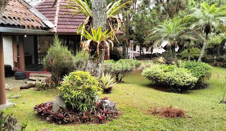 Dijual Rumah di Cipanas 2 Lantai Bebas Banjir 2