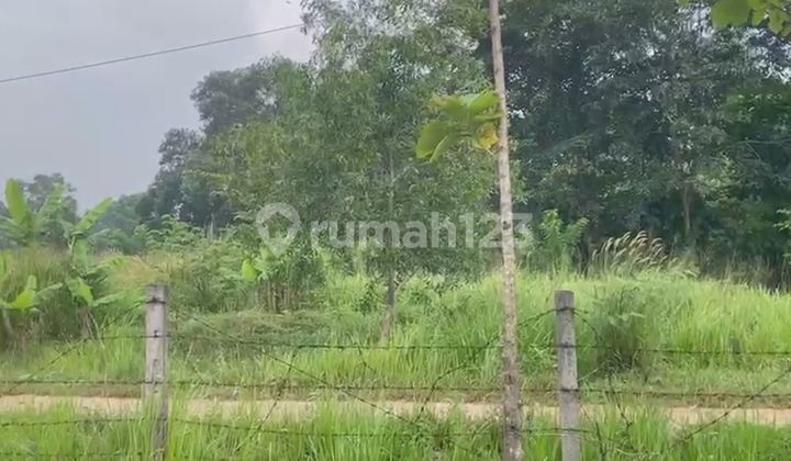 Land in the industrial area of Karangmukti, Cipeundeuy - Subang Land in the industrial area of Karangmukti, Cipeundeuy - Subang