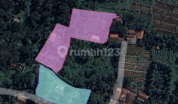 Tanah dan Rumah hitung harga tanah saja di Dramaga - Bogor Tanah dan Rumah hitung harga tanah saja di Dramaga - Bogor