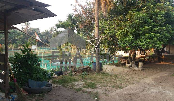 foto lainnya  tanah dan empang 6.000 m2