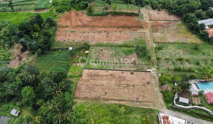 Tanah Datar Dan Padat Di Palasari Cijeruk Kab Bogor 1