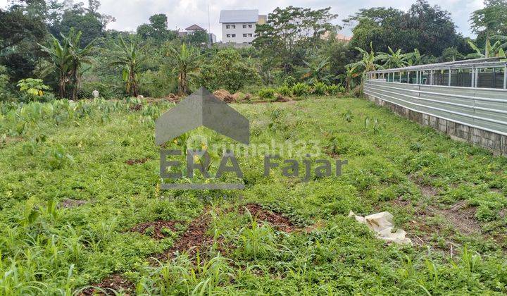  TANAH KEBUN LUAS 1.050 M2 DI JALAN ALTERNATIF PUNCAK CIAWI BOGOR 2