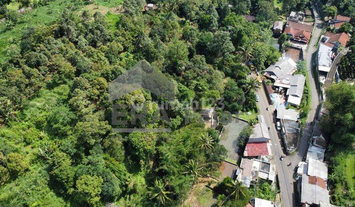 Tanah 1,5 Ha Di Kaki Gunung Salak Cijeruk Kab Bogor 2