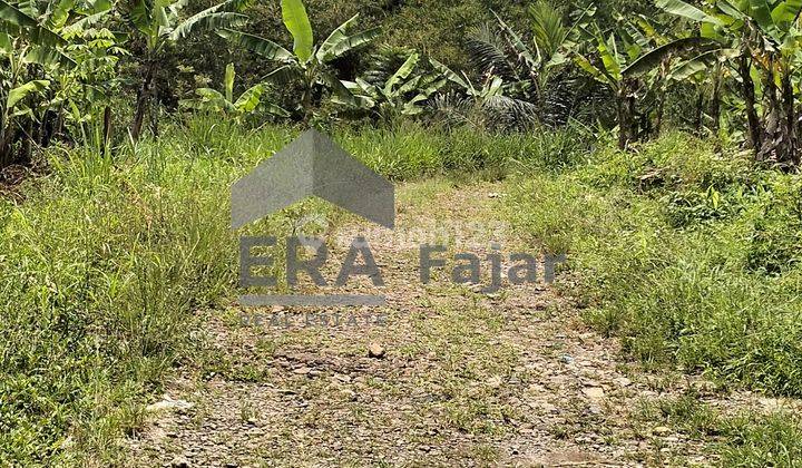 LAHAN KEBUN LUAS 3.585 M2 DI TUGUJAYA - CIGOMBONG KABUPATEN BOGOR 2