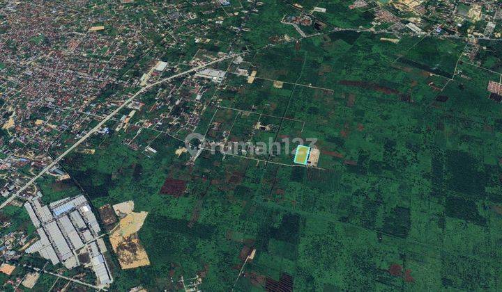 TANAH MURAH DI DEKAT JALAN LINTAS SUMATRA PEKANBARU RIAU 2