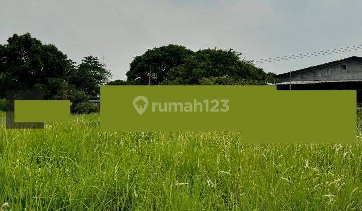 Dijual Kavling Kawasan Industri Batu Ceper Tangerang 4206 M2 Dekat Bandara Soetta , Tol Tanah Tinggi Yoy 2