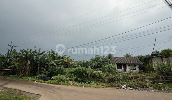 Dijual Tanah 2200 M2 Parung Panjang Bogor Jawa Barat Dekat Statiun Kereta Api, Pinggir Jalan Besar Pau