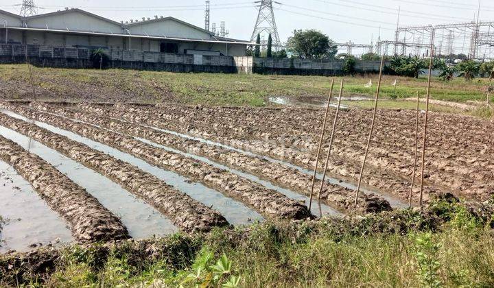 Tanah/kavling butuh uruk,harga murah,lokasi strategis di pondok ungu,Medan satria,bekasi 2