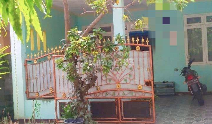 Rumah Termurah,bebas Banjir Di Telaga Mas,duta Harapan,harapan Baru,bekasi Utara 1