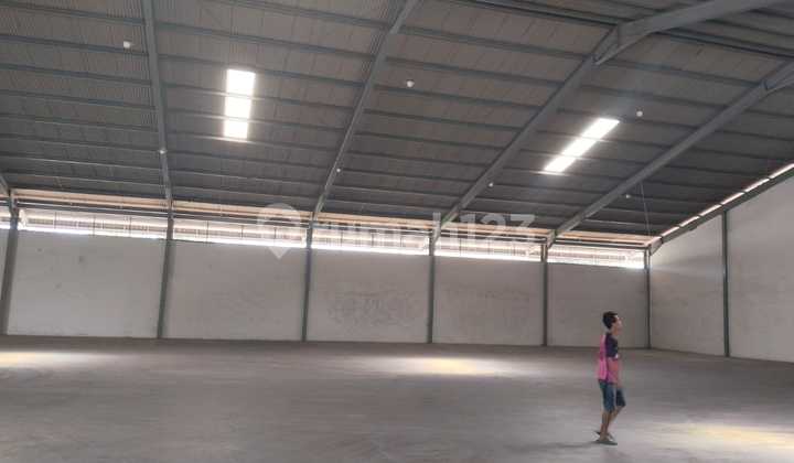 Disewakan Gudang Siap Huni dan Rapih, di Semper, Cilincing