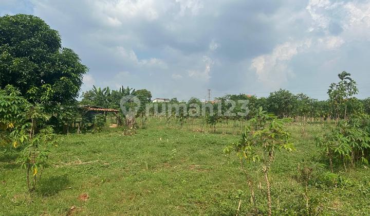 Dijual Cepat Lahan Tanah di Karawang Timur Dijual Cepat Lahan Tanah di Karawang Timur