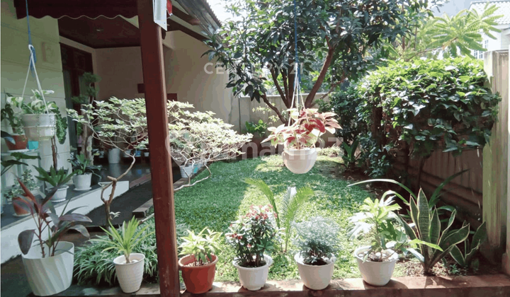 Jual Cepat Rumah Siap Huni Di Taman Rempoa Indah LH17147  2