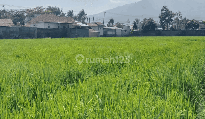 TANAH LUAS DAN STRATEGIS DI RANCAEKEK BANDUNG TIMUR 1