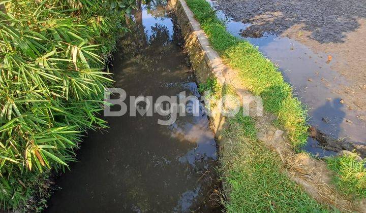 SAWAH DAN KEBUN DI GARUT 2