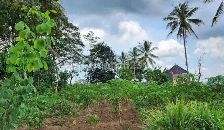 Tanah di Kalisari Kalianyar Buring Kedungkandang Belakang Gor Ken Arok Malang 1