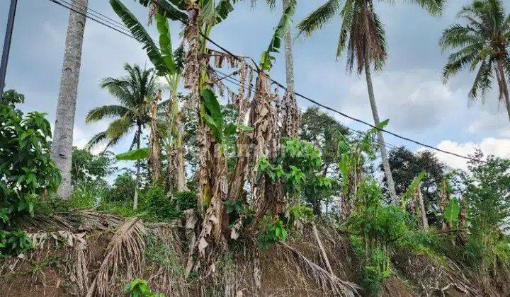 Tanah di Kalisari Kalianyar Buring Kedungkandang Belakang Gor Ken Arok Malang 2