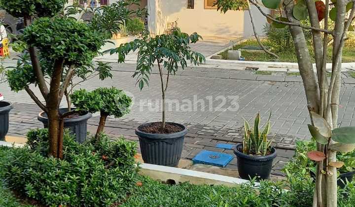 Rumah Hoek Cantik aesthetic di Springhill yume lagoon, Cisauk