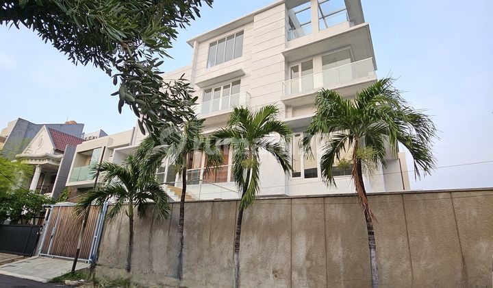 BRAND NEW Semi Basement WITH SWIMMING POOL  2