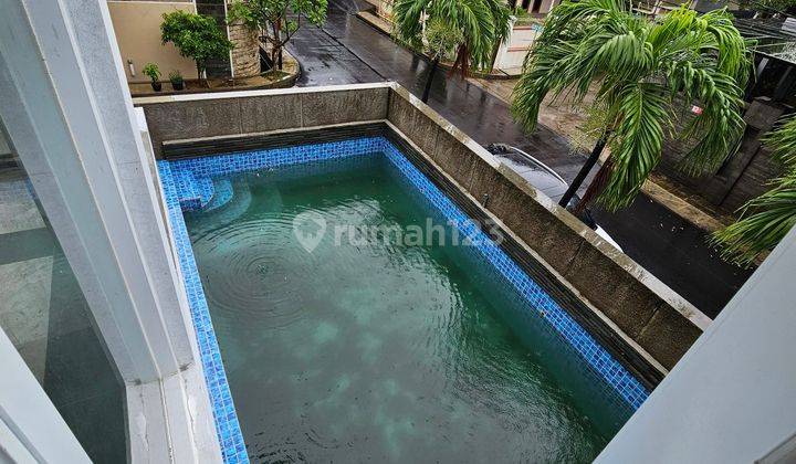 BRAND NEW Semi Basement WITH SWIMMING POOL  1