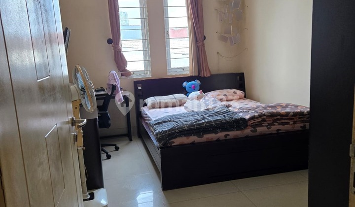 Modern Style House in Sunter Location 2