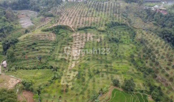 TANAH Di SUKABUMI PERKEBUNAN ALPUKAT, JUAL MURAH 1