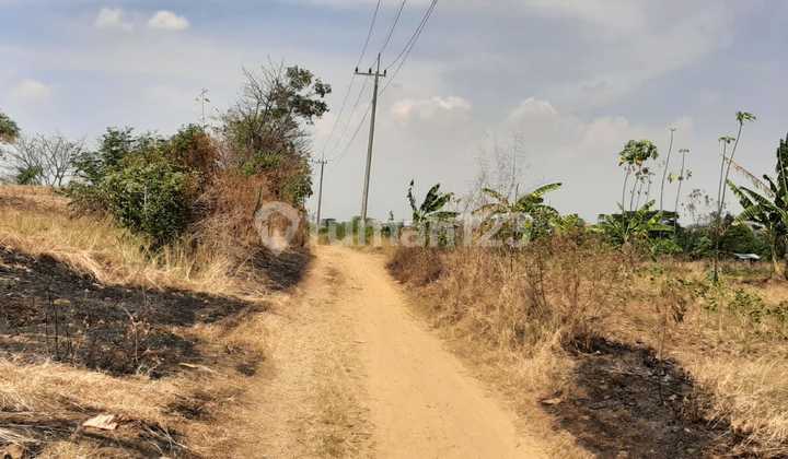Dijual Lahan Bangkingan Lakarsantri