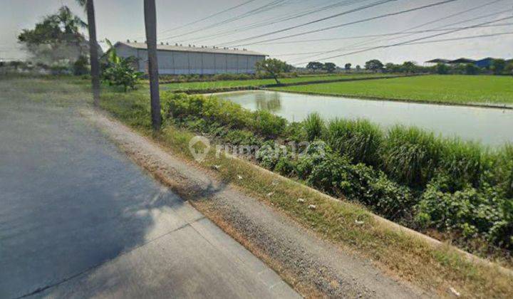 Dijual Lahan Jln Pantura Dusun Pandaan Lamongan 1