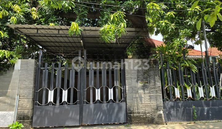 Dijual Rumah Jl Kartini Surabaya 1
