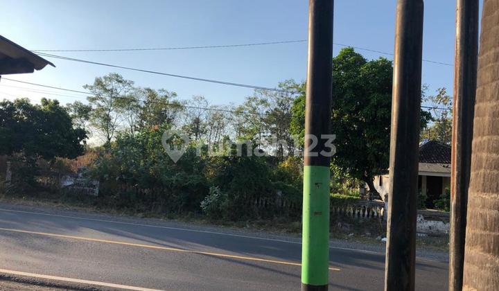 For Rent Land Ry Situbondo Banyuwangi For Rent Land Ry Situbondo Banyuwangi