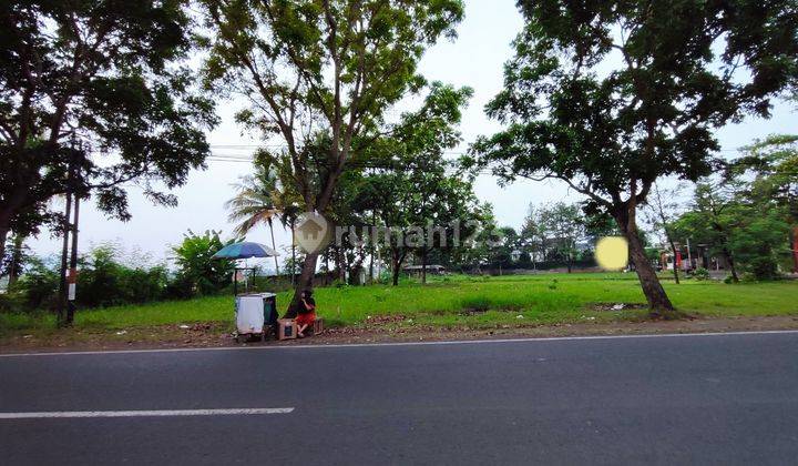 Tanah Kavling Siap Bangun 708 meter Di Jalan Pramuka Cianjur 1