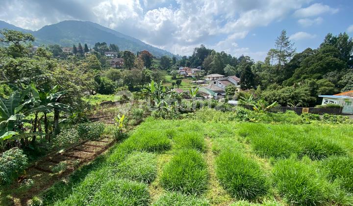 Di Jual Tanah Lokasi Strategis Di Ciloto Puncak Di Jual Tanah Lokasi Strategis Di Ciloto Puncak