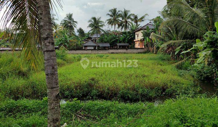 Murah Tanah Strategis Hanya 5 Menit Ke Jl Provinsi Di Cianjur 2