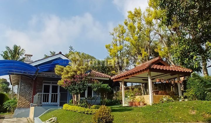 Villa 1 Lantai Siap Huni Di Kota Bunga Cipanas Puncak 2